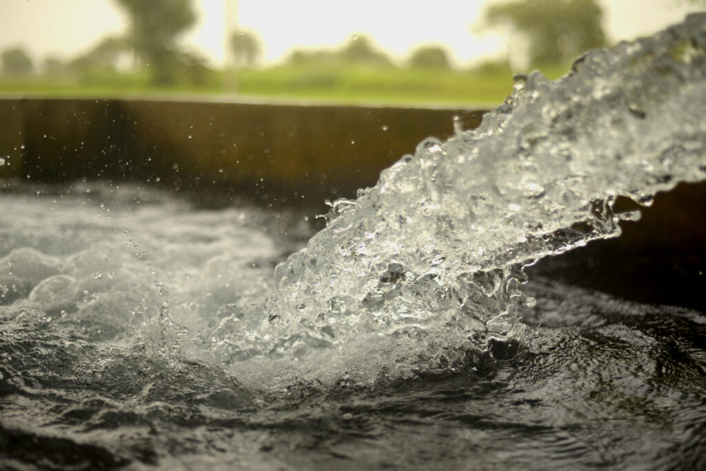 well water being poured into a bucket in Los Angeles