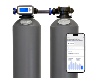 Whole House PFAS Water Filter in Los Angeles
