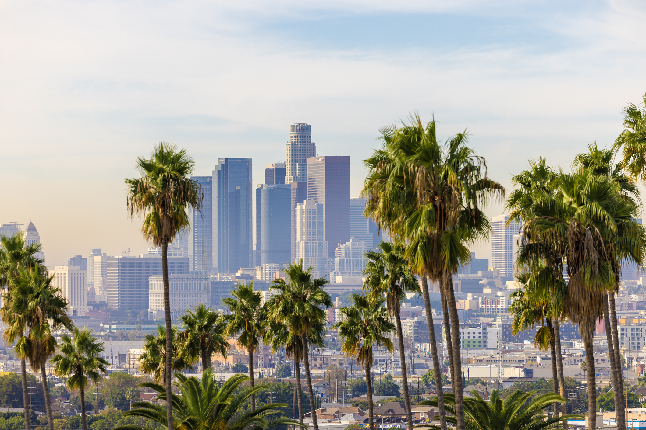 Los Angeles, CA Skyline With Palm Trees